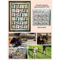 2026 Quilt Raffle: "Wrapped in Love: A Valentine’s Raffle for Astrid & Zennia"